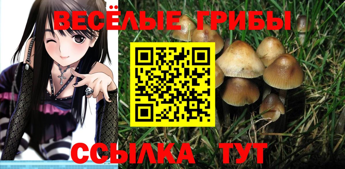 Галлюциногенные грибы Magic Shrooms  Вход с VPN  Десногорск 